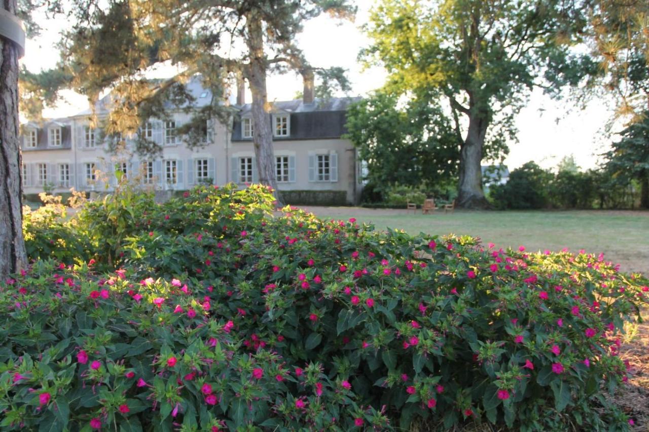 Colivault Bed and Breakfast Candé-sur-Beuvron Eksteriør billede